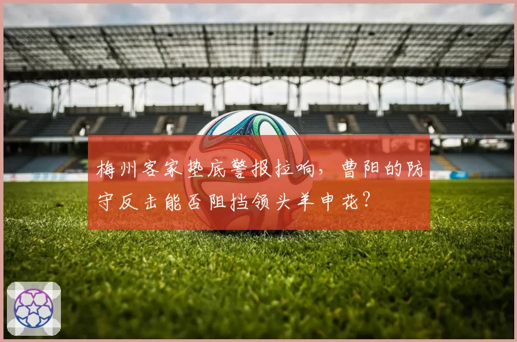 梅州客家垫底警报拉响，曹阳的防守反击能否阻挡领头羊申花？