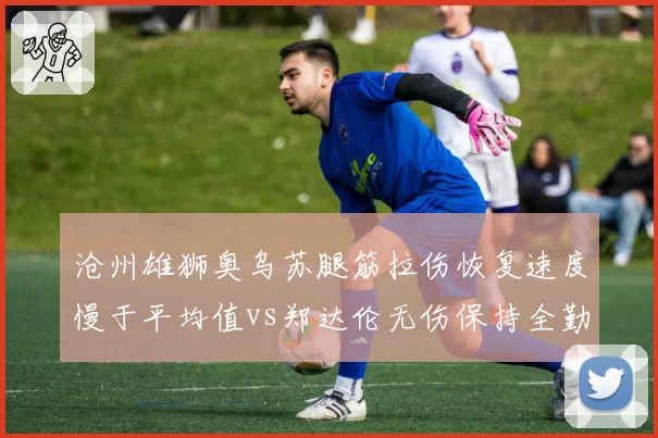 沧州雄狮奥乌苏腿筋拉伤恢复速度慢于平均值vs郑达伦无伤保持全勤,外援与本土球员体能差异