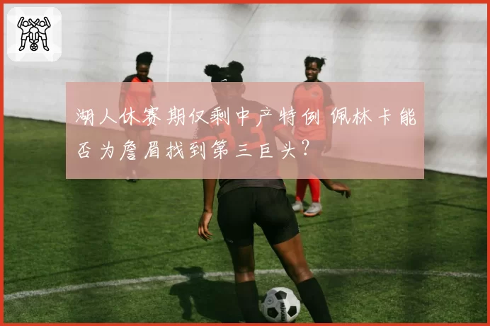 湖人休赛期仅剩中产特例 佩林卡能否为詹眉找到第三巨头?